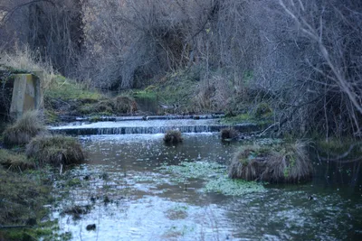 DSC_1077 (Large).JPG